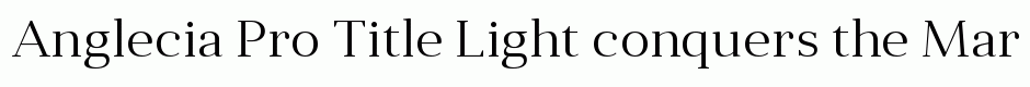 Anglecia Pro Title Light