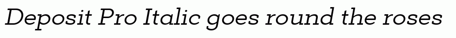Deposit Pro Italic