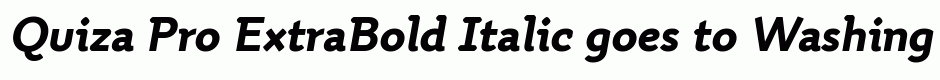 Quiza Pro ExtraBold Italic