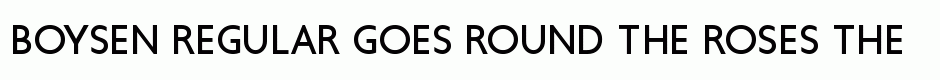 Boysen Regular