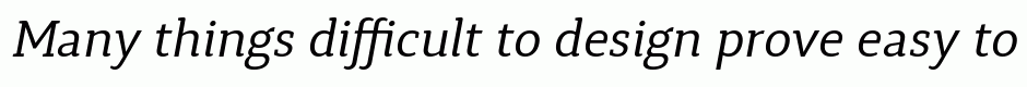 Synerga Pro Italic