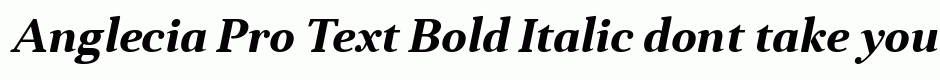 Anglecia Pro Text Bold Italic
