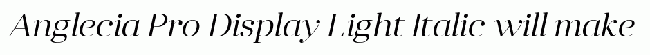Anglecia Pro Display Light Italic