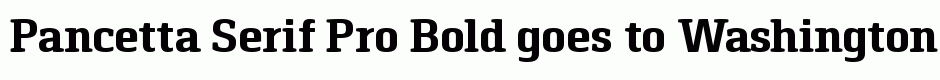 Pancetta Serif Pro Bold