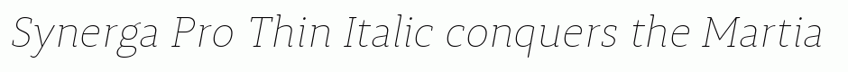 Synerga Pro Thin Italic