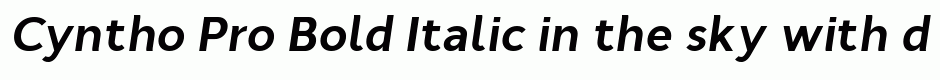 Cyntho Pro Bold Italic