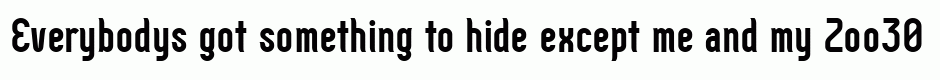 Zoo300 Bold.zip