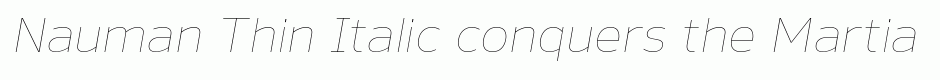 Nauman Thin Italic