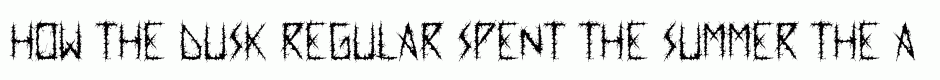 Dusk Regular