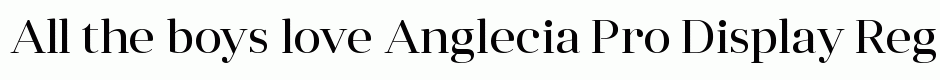 Anglecia Pro Display Regular