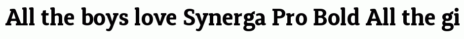 Synerga Pro Bold