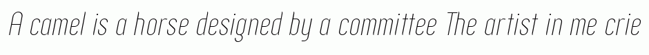 Zoo300 Thin Italic.zip