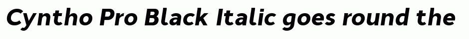 Cyntho Pro Black Italic