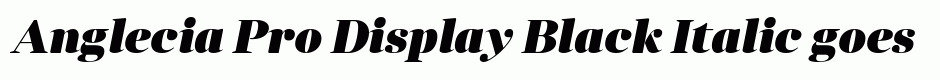 Anglecia Pro Display Black Italic