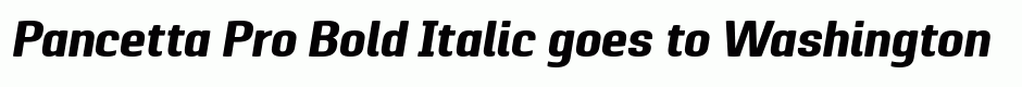 Pancetta Pro Bold Italic
