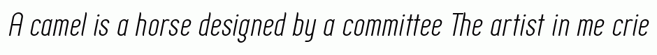 Zoo300 Light Italic