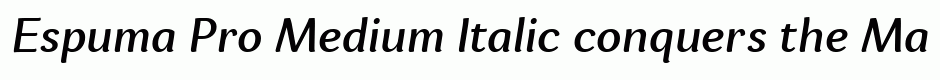 Espuma Pro Medium Italic