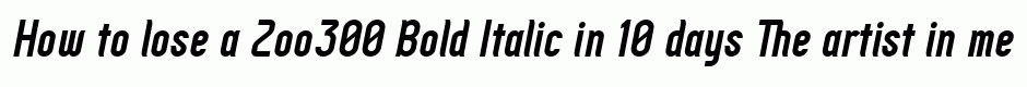 Zoo300 Bold Italic
