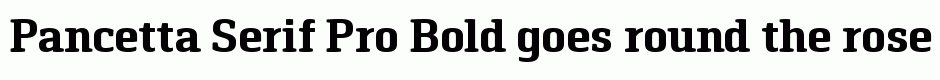 Pancetta Serif Pro Bold