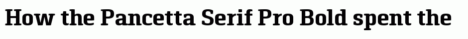 Pancetta Serif Pro Bold