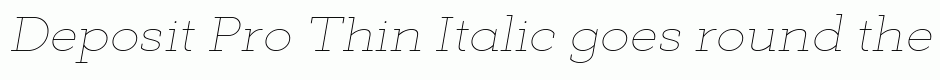 Deposit Pro Thin Italic