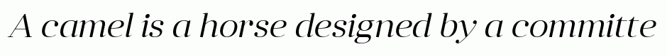 Anglecia Pro Display Light Italic