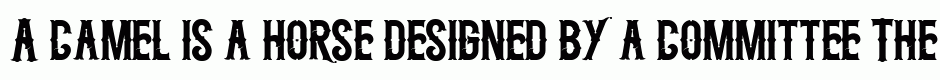 Midnight Show typeface