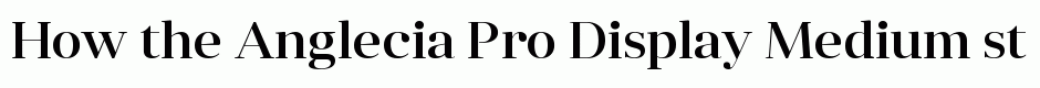 Anglecia Pro Display Medium