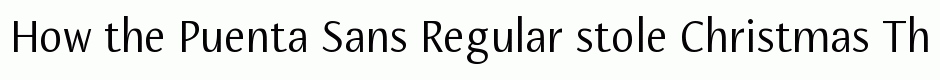 Puenta Sans Regular