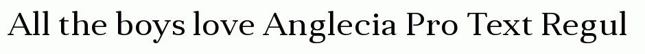 Anglecia Pro Text Regular