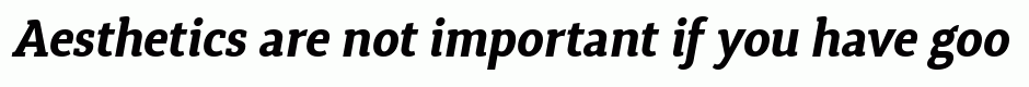 Synerga Pro Bold Italic
