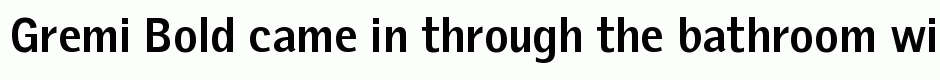 Gremi Bold
