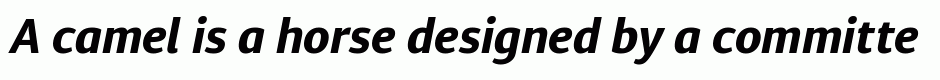 Diaria Sans Pro Bold Italic