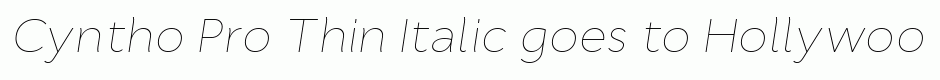 Cyntho Pro Thin Italic