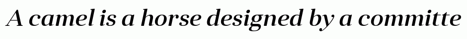 Anglecia Pro Title Medium Italic