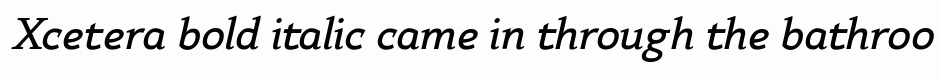 Xcetera bold italic