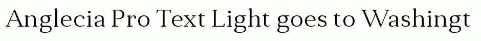 Anglecia Pro Text Light