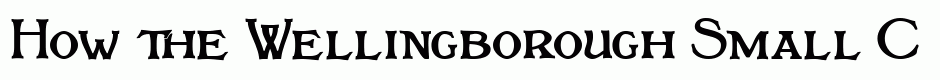 Wellingborough Small Caps