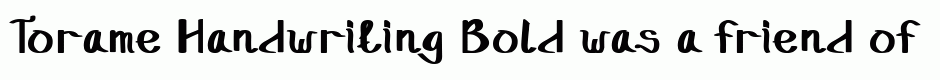 Torame Handwriting Bold