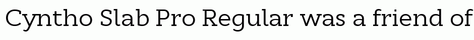 Cyntho Slab Pro Regular