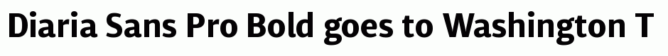 Diaria Sans Pro Bold