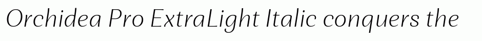 Orchidea Pro ExtraLight Italic