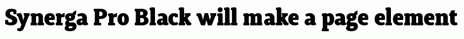 Synerga Pro Black