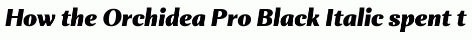 Orchidea Pro Black Italic