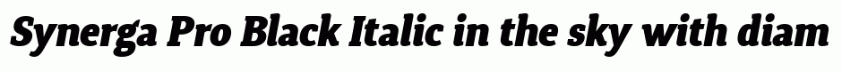 Synerga Pro Black Italic