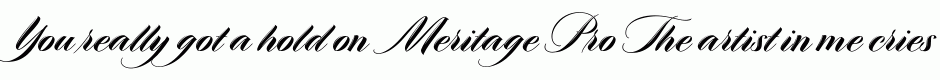 Meritage Pro