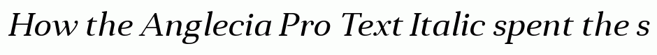 Anglecia Pro Text Italic