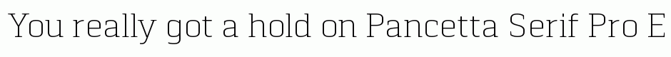 Pancetta Serif Pro ExtraLight