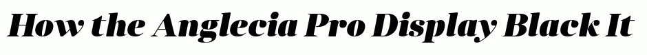 Anglecia Pro Display Black Italic