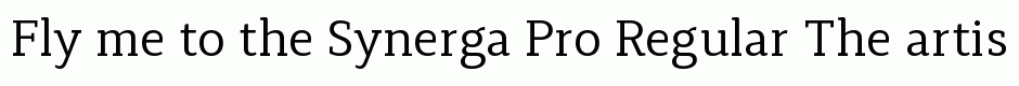 Synerga Pro Regular